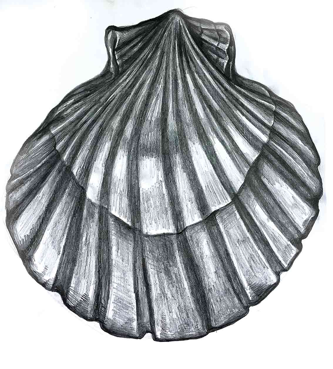 Antonia Tochka fashion illustration